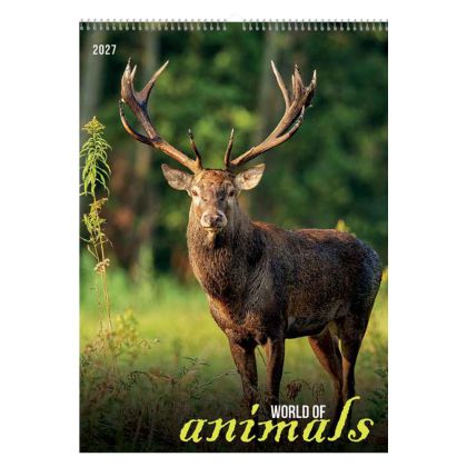 Календар стенен БГ календар 13л. Animals 2027