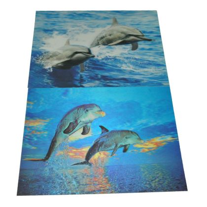 Картина 3D PET 30/40