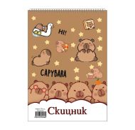 Скицник спирала офсет Хит 24/34 20 л. 170 гр. Данива