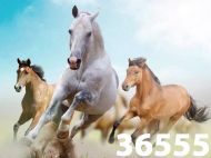Картина рисуване по номера 30/40 внос