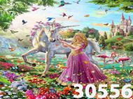 Картина рисуване по номера 30/40 внос