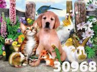 Картина рисуване по номера 30/40 внос