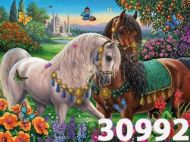 Картина рисуване по номера 30/40 внос