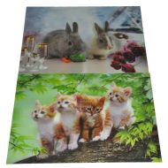 Картина 3D PET 25/35 един. картина