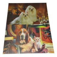 Картина 3D PET 25/35 един. картина