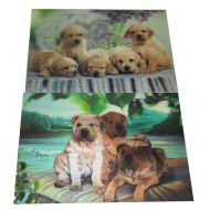 Картина 3D PET 25/35 един. картина