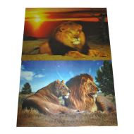 Картина 3D PET 25/35 един. картина