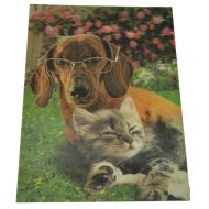 Картина 3D PET 30/40