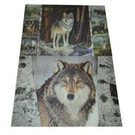 Картина 3D PET 30/40