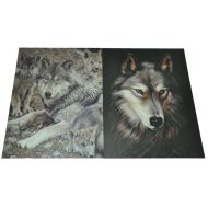 Картина 3D PET 30/40