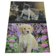Картина 3D PET 30/40
