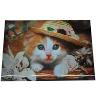 Картина 3D PET 35/50 стерео