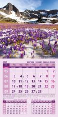 Календар стенен Офис Маркет 12л. Природа България 2025