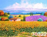 Картина рисуване по номера 30/40 внос