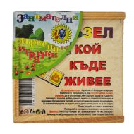 Пъзел Кой къде живее 358 10031