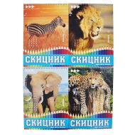 Скицник спирала офсет 24/34 30л. 120гр. Данива