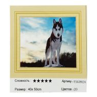 Диамантен гоблен 40/50 в кутия А-С