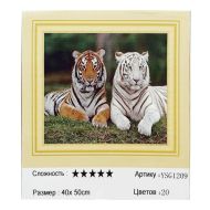 Диамантен гоблен 40/50 в кутия А-С