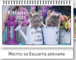 К-р пирамида малка ПК2 + 10 вида Дж. 2025