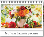 К-р пирамида малка ПК2 + 10 вида Дж. 2025