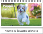 К-р пирамида малка ПК2 + 10 вида Дж. 2025